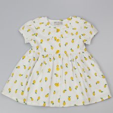 C32045: Baby Girls All Over Print Lined Dress  (1-2 Years)